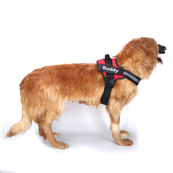 Personalized Dog Harness